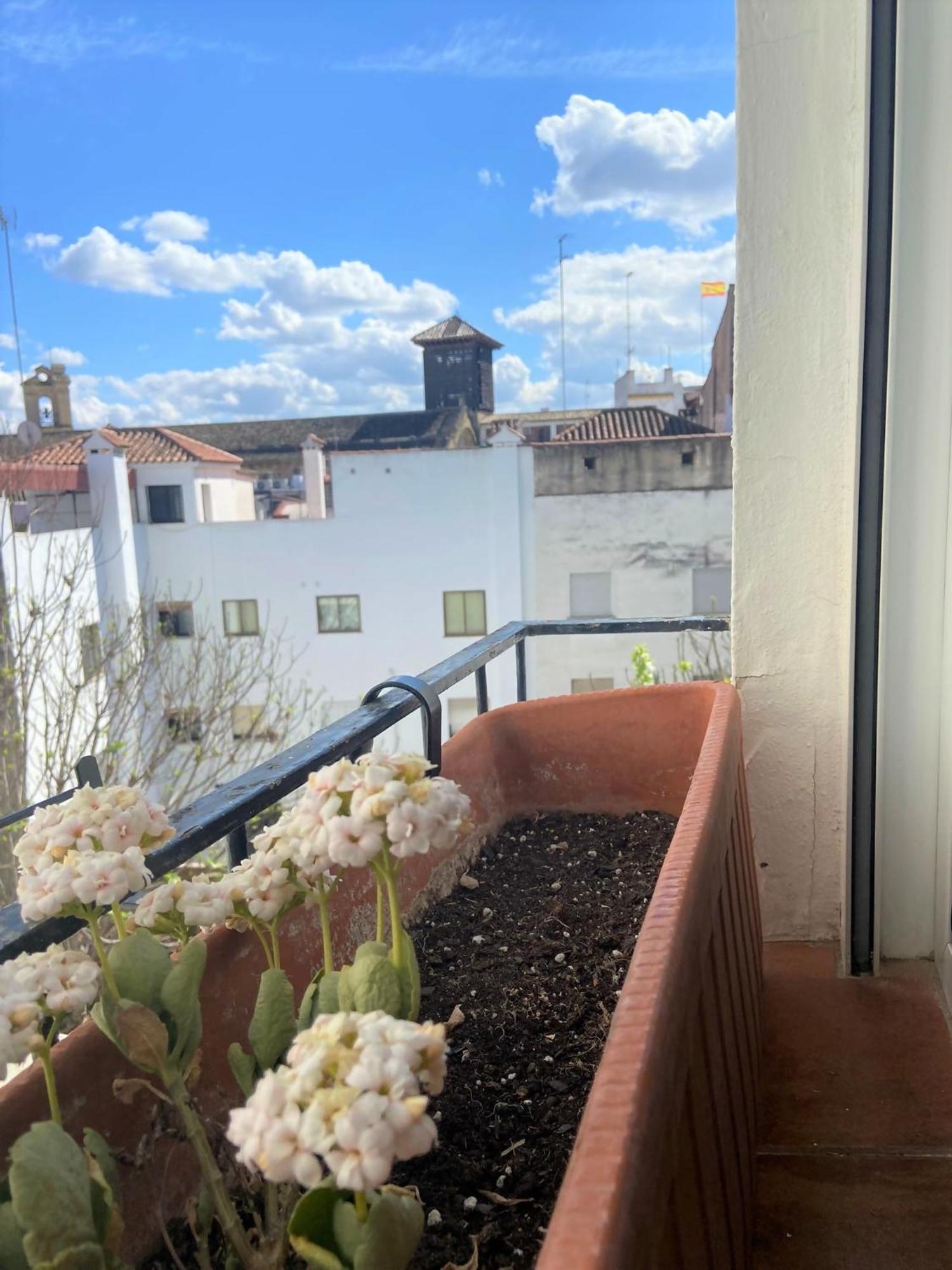 Apartment En San Pablo